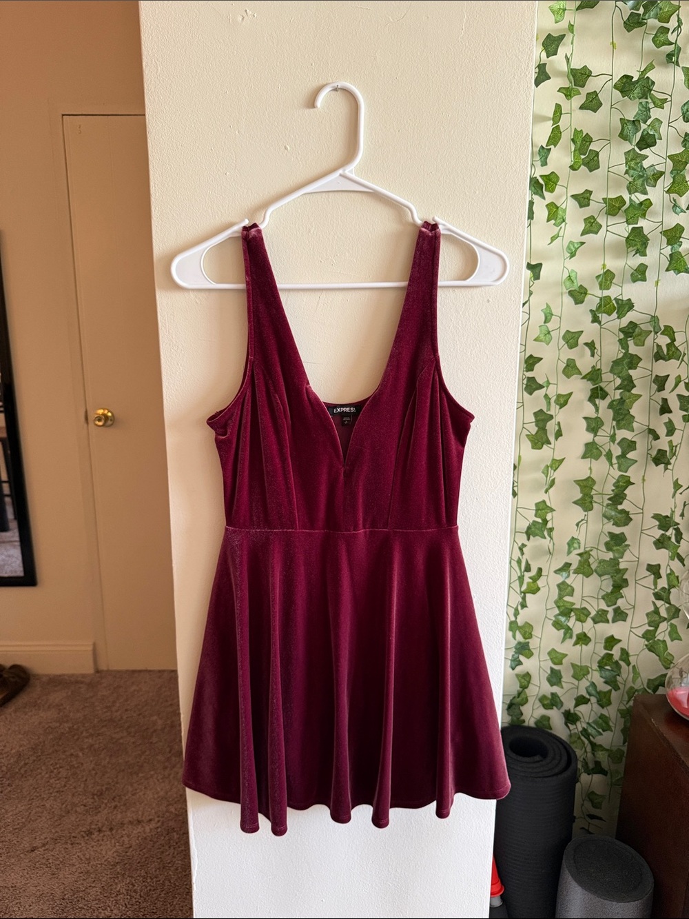 Express Velvet Skater Dress in Wine Burgundy